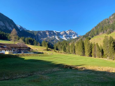 İlkbaharın başlarında Eigental Alp Vadisi 'nin dağlık çayırları ve otlakları, Eigenthal - Lucerne Kantonu, İsviçre (Kanton Luzern, Schweiz)