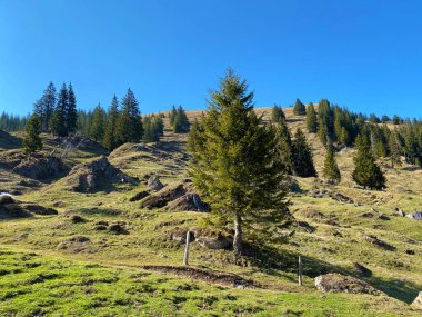 İlkbaharın başlarında Eigental Alp Vadisi 'nin dağlık çayırları ve otlakları, Eigenthal - Lucerne Kantonu, İsviçre (Kanton Luzern, Schweiz)
