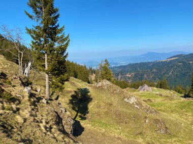 İlkbaharın başlarında Eigental Alp Vadisi 'nin dağlık çayırları ve otlakları, Eigenthal - Lucerne Kantonu, İsviçre (Kanton Luzern, Schweiz)