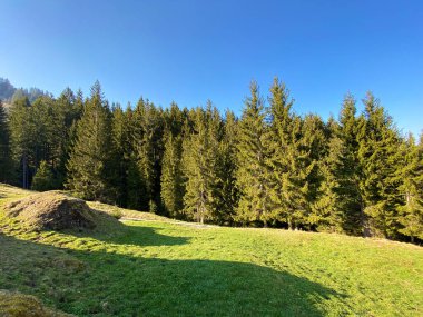 İlkbaharın başlarında Eigental Alp Vadisi 'nin dağlık çayırları ve otlakları, Eigenthal - Lucerne Kantonu, İsviçre (Kanton Luzern, Schweiz)