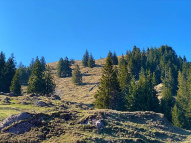İlkbaharın başlarında Eigental Alp Vadisi 'nin dağlık çayırları ve otlakları, Eigenthal - Lucerne Kantonu, İsviçre (Kanton Luzern, Schweiz)