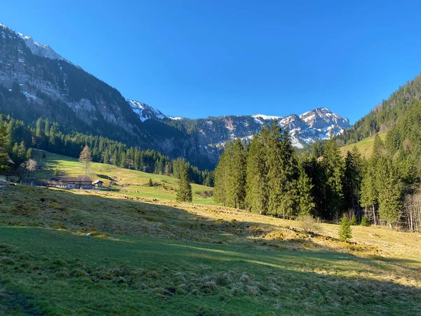 Pastagens Prados Alpinos Vale Alpino Nas Colinas Circundantes Início Primavera — Fotografia de Stock