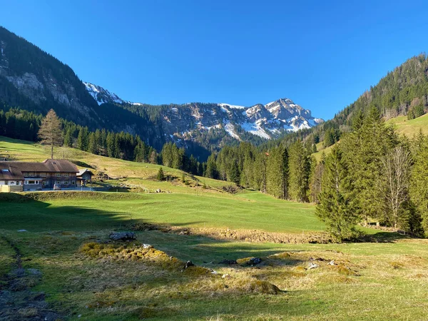 高山の牧草地や草原 そして早春の周囲の丘の上で Eigental カントン ルツェルン スイス カントン ルツェルン スイス — ストック写真