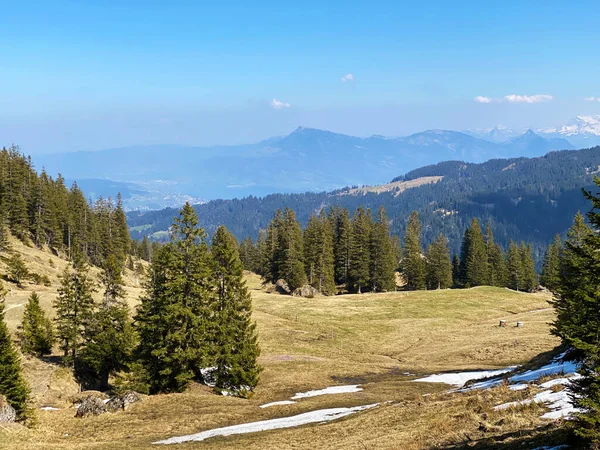 高山の牧草地や草原 そして早春の周囲の丘の上で Eigental カントン ルツェルン スイス カントン ルツェルン スイス — ストック写真