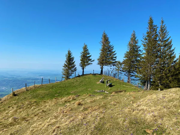 Almen Und Wiesen Eigental Und Auf Den Umliegenden Hügeln Vorfrühling — Stockfoto