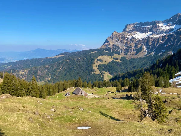 瑞士卢塞恩州 Kanton Luzern Schweiz Eigenthal的高山草场和草原 — 图库照片