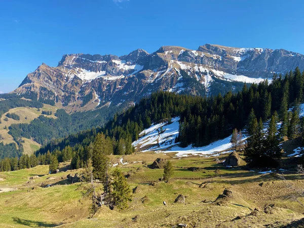 Alpine Pastures Grasslands Eigental Alpine Valley Surrounding Hills Early Spring — Stock Photo, Image