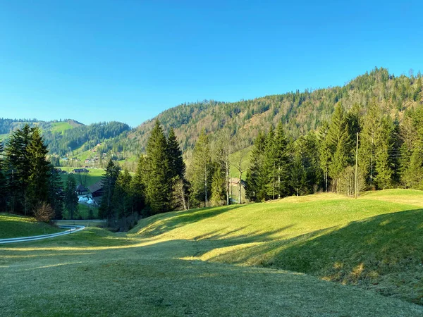 Alpine Pastures Grasslands Eigental Alpine Valley Surrounding Hills Early Spring — Stock Photo, Image