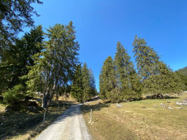 Eigental Alp Vadisi 'nde yürüyüş, yürüyüş, spor ve dinlenme yolları ve Alp Nehri boyunca uzanan Eigenthal Kantonu Lucerne, İsviçre (Kanton Luzern, Schweiz)
