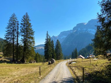 Eigental Alp Vadisi 'nde yürüyüş, yürüyüş, spor ve dinlenme yolları ve Alp Nehri boyunca uzanan Eigenthal Kantonu Lucerne, İsviçre (Kanton Luzern, Schweiz)