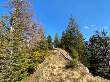 Eigental Alp Vadisi 'nde yürüyüş, yürüyüş, spor ve dinlenme yolları ve Alp Nehri boyunca uzanan Eigenthal Kantonu Lucerne, İsviçre (Kanton Luzern, Schweiz)