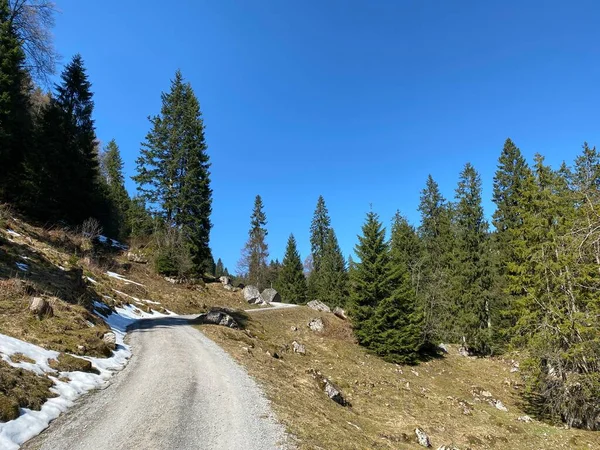 Wander Sport Und Erholungswege Eigental Und Entlang Der Alpen Eigenthal — Stockfoto