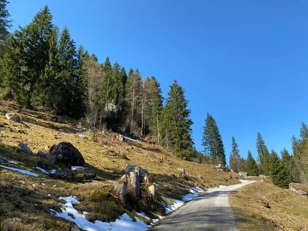 Trails Walking Hiking Sports Recreation Eigental Alpine Valley Alp River — Stock Photo, Image