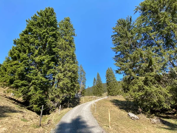 Trails for walking, hiking, sports and recreation in the Eigental alpine valley and along the Alp river, Eigenthal - Canton of Lucerne, Switzerland (Kanton Luzern, Schweiz)