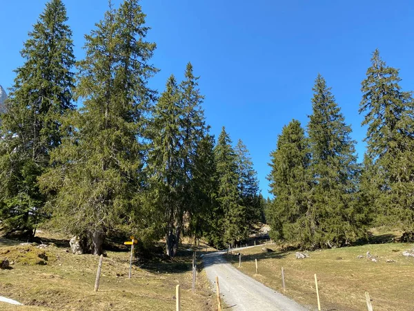 Trails for walking, hiking, sports and recreation in the Eigental alpine valley and along the Alp river, Eigenthal - Canton of Lucerne, Switzerland (Kanton Luzern, Schweiz)