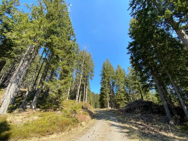 Trails for walking, hiking, sports and recreation in the Eigental alpine valley and along the Alp river, Eigenthal - Canton of Lucerne, Switzerland (Kanton Luzern, Schweiz)