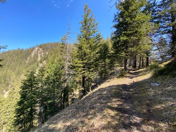 Eigental Alp Vadisi 'nde yürüyüş, yürüyüş, spor ve dinlenme yolları ve Alp Nehri boyunca uzanan Eigenthal Kantonu Lucerne, İsviçre (Kanton Luzern, Schweiz)