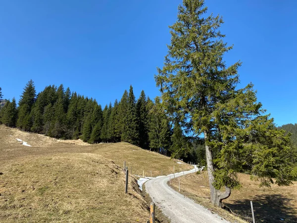 Trails for walking, hiking, sports and recreation in the Eigental alpine valley and along the Alp river, Eigenthal - Canton of Lucerne, Switzerland (Kanton Luzern, Schweiz)