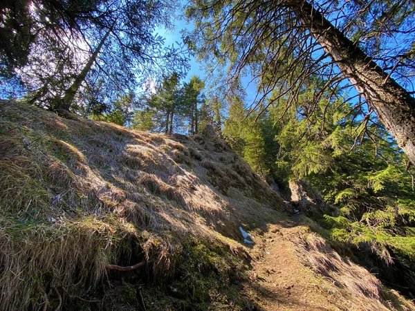 Trails for walking, hiking, sports and recreation in the Eigental alpine valley and along the Alp river, Eigenthal - Canton of Lucerne, Switzerland (Kanton Luzern, Schweiz)