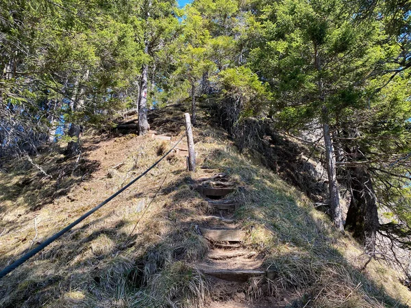 Senderos Para Caminatas Senderismo Deportes Recreación Valle Alpino Del Eigental —  Fotos de Stock