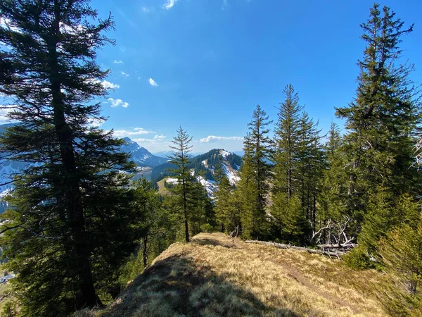 Eigental Alp Vadisi Nde Yürüyüş Yürüyüş Spor Dinlenme Yolları Alp — Stok fotoğraf
