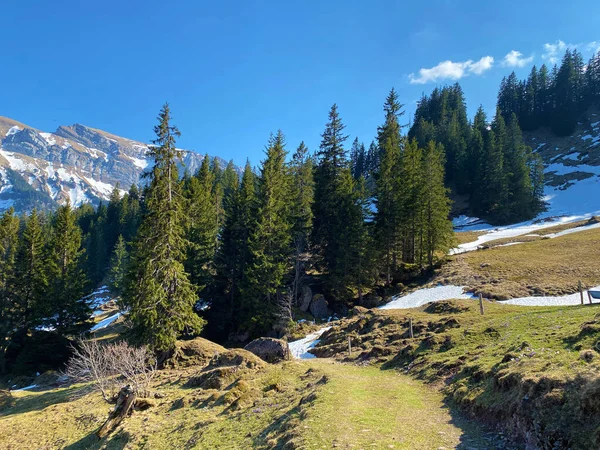 Sentiers Randonnées Pédestres Sportives Récréatives Dans Vallée Alpine Eigental Long — Photo