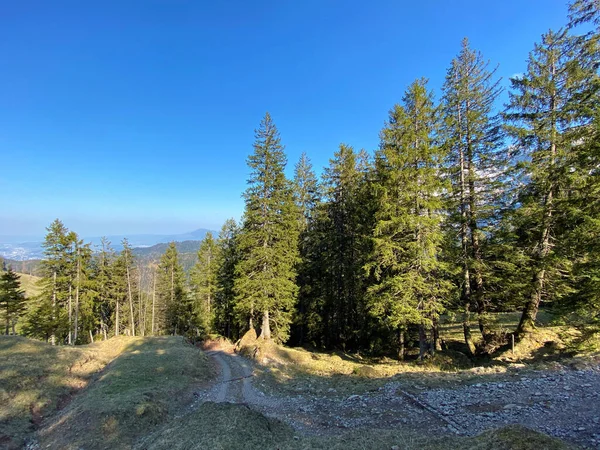 Trails for walking, hiking, sports and recreation in the Eigental alpine valley and along the Alp river, Eigenthal - Canton of Lucerne, Switzerland (Kanton Luzern, Schweiz)