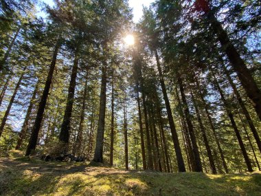 Eigental Alp Vadisi, Eigenthal 'den gökyüzü ve güneş, İsviçre' nin Lucerne Kantonu 'na (Kanton Luzern, Schweiz)