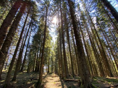 Eigental Alp Vadisi, Eigenthal 'den gökyüzü ve güneş, İsviçre' nin Lucerne Kantonu 'na (Kanton Luzern, Schweiz)