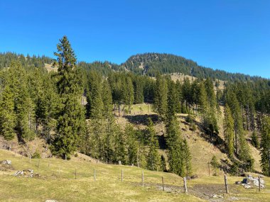 Eigental Vadisi 'nin üzerindeki Alp Dağı Studberg Kantonu (Kanton Luzern, Schweiz)