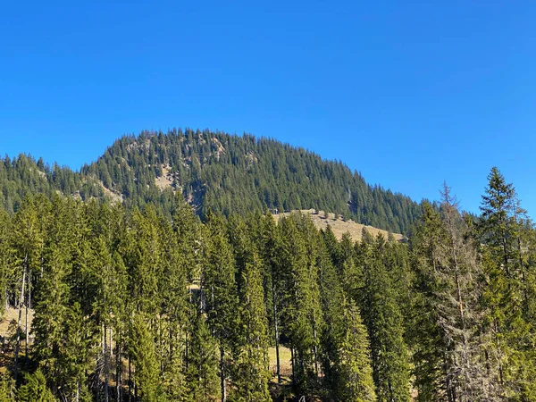 Montaña Alpina Studberg Sobre Valle Del Eigental Eigenthal Cantón Lucerna — Foto de Stock