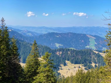 Eigental Alp Vadisi 'ndeki tepelerin yamaçlarındaki Evergreen ormanı veya kozalaklı ağaçlar, Eigenthal - Lucerne Kantonu, İsviçre (Kanton Luzern, Schweiz)