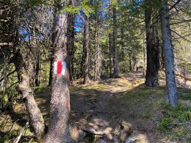 Eigental Alp Vadisi üzerindeki tepelerde ve İsviçre 'nin merkezinde, Eigenthal Kantonu Lucerne, İsviçre (Kanton Luzern, Schweiz)