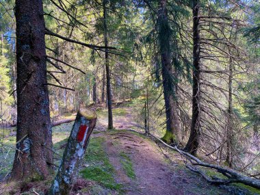 Eigental Alp Vadisi üzerindeki tepelerde ve İsviçre 'nin merkezinde, Eigenthal Kantonu Lucerne, İsviçre (Kanton Luzern, Schweiz)