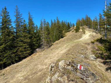 Eigental Alp Vadisi üzerindeki tepelerde ve İsviçre 'nin merkezinde, Eigenthal Kantonu Lucerne, İsviçre (Kanton Luzern, Schweiz)