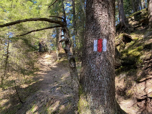 Horské Ukazatele Značení Kopcích Nad Alpským Údolím Eigental Středním Švýcarsku — Stock fotografie