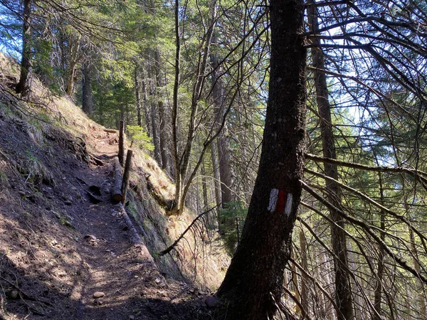 Panneaux Marquages Alpinisme Sur Les Collines Vallée Alpine Eigental Suisse — Photo