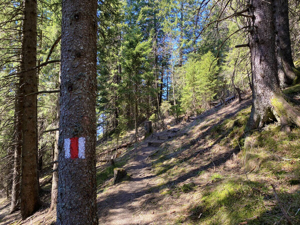 Mountaineering signposts and markings on the hills over the Eigental alpine valley and in central Switzerland, Eigenthal - Canton of Lucerne, Switzerland (Kanton Luzern, Schweiz)