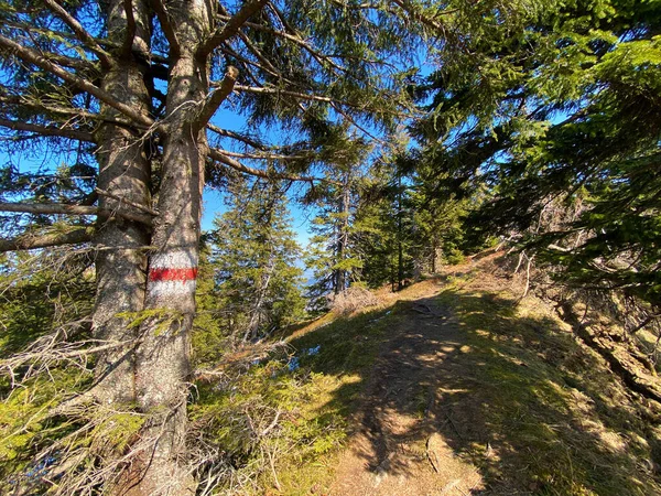 Horské Ukazatele Značení Kopcích Nad Alpským Údolím Eigental Středním Švýcarsku — Stock fotografie