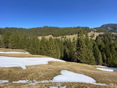 Eigental Alp Vadisi 'nde kış ve karın son kalıntılarıyla erken bahar atmosferi, Eigenthal - Lucerne Kantonu, İsviçre (Kanton Luzern, Schweiz)
