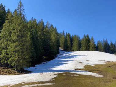 Eigental Alp Vadisi 'nde kış ve karın son kalıntılarıyla erken bahar atmosferi, Eigenthal - Lucerne Kantonu, İsviçre (Kanton Luzern, Schweiz)