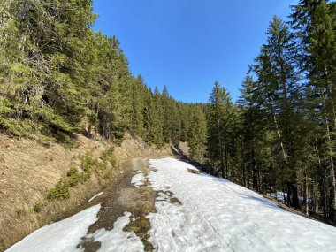 Eigental Alp Vadisi 'nde kış ve karın son kalıntılarıyla erken bahar atmosferi, Eigenthal - Lucerne Kantonu, İsviçre (Kanton Luzern, Schweiz)