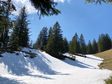 Eigental Alp Vadisi 'nde kış ve karın son kalıntılarıyla erken bahar atmosferi, Eigenthal - Lucerne Kantonu, İsviçre (Kanton Luzern, Schweiz)