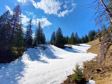 Eigental Alp Vadisi 'nde kış ve karın son kalıntılarıyla erken bahar atmosferi, Eigenthal - Lucerne Kantonu, İsviçre (Kanton Luzern, Schweiz)