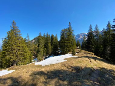 Eigental Alp Vadisi 'nde kış ve karın son kalıntılarıyla erken bahar atmosferi, Eigenthal - Lucerne Kantonu, İsviçre (Kanton Luzern, Schweiz)