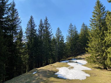 Eigental Alp Vadisi 'nde kış ve karın son kalıntılarıyla erken bahar atmosferi, Eigenthal - Lucerne Kantonu, İsviçre (Kanton Luzern, Schweiz)