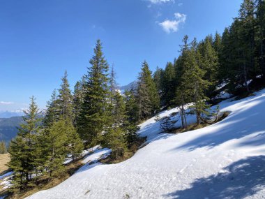 Eigental Alp Vadisi 'nde kış ve karın son kalıntılarıyla erken bahar atmosferi, Eigenthal - Lucerne Kantonu, İsviçre (Kanton Luzern, Schweiz)