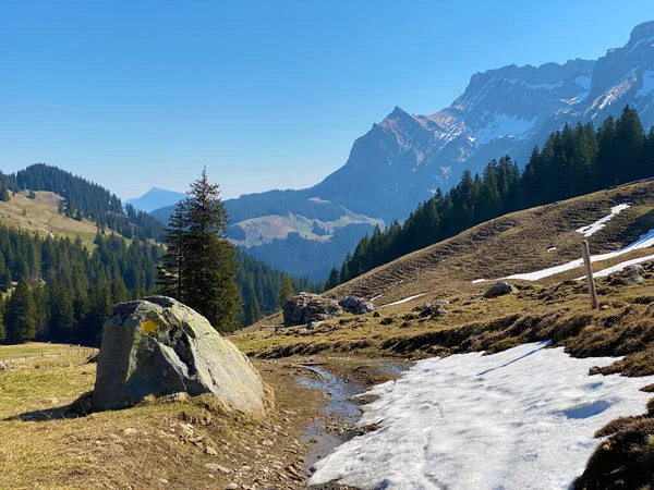 Eigental Alp Vadisi Nde Kış Karın Son Kalıntılarıyla Erken Bahar — Stok fotoğraf