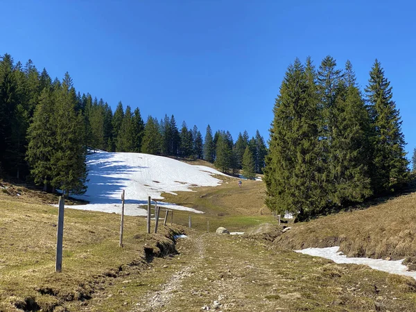 Frühlingsatmosphäre Mit Den Letzten Resten Von Winter Und Schnee Eigental — Stockfoto