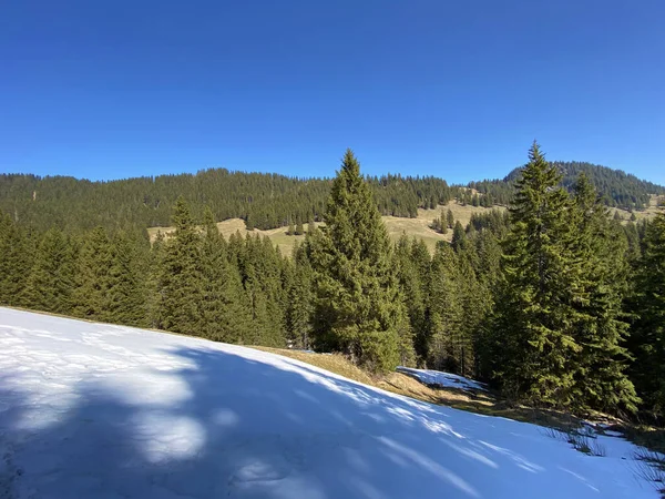 Frühlingsatmosphäre Mit Den Letzten Resten Von Winter Und Schnee Eigental — Stockfoto